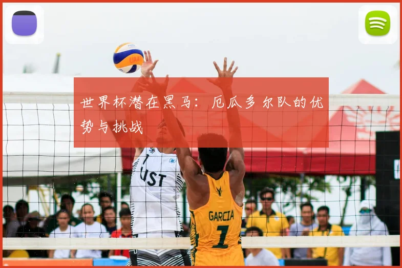 世界杯潜在黑马：厄瓜多尔队的优势与挑战