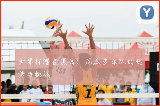 世界杯潜在黑马：厄瓜多尔队的优势与挑战