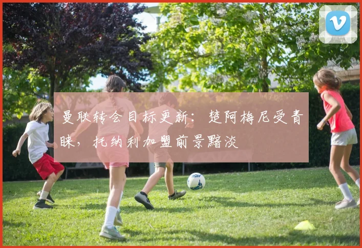 曼联转会目标更新：楚阿梅尼受青睐，托纳利加盟前景黯淡